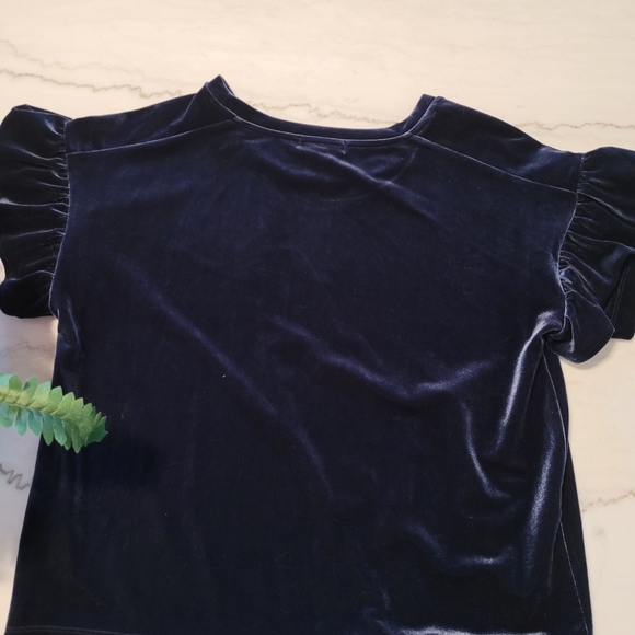 Madewell Velvet Blue Ruffle Sleeve Blouse Size Medium - Picture 6 of 9